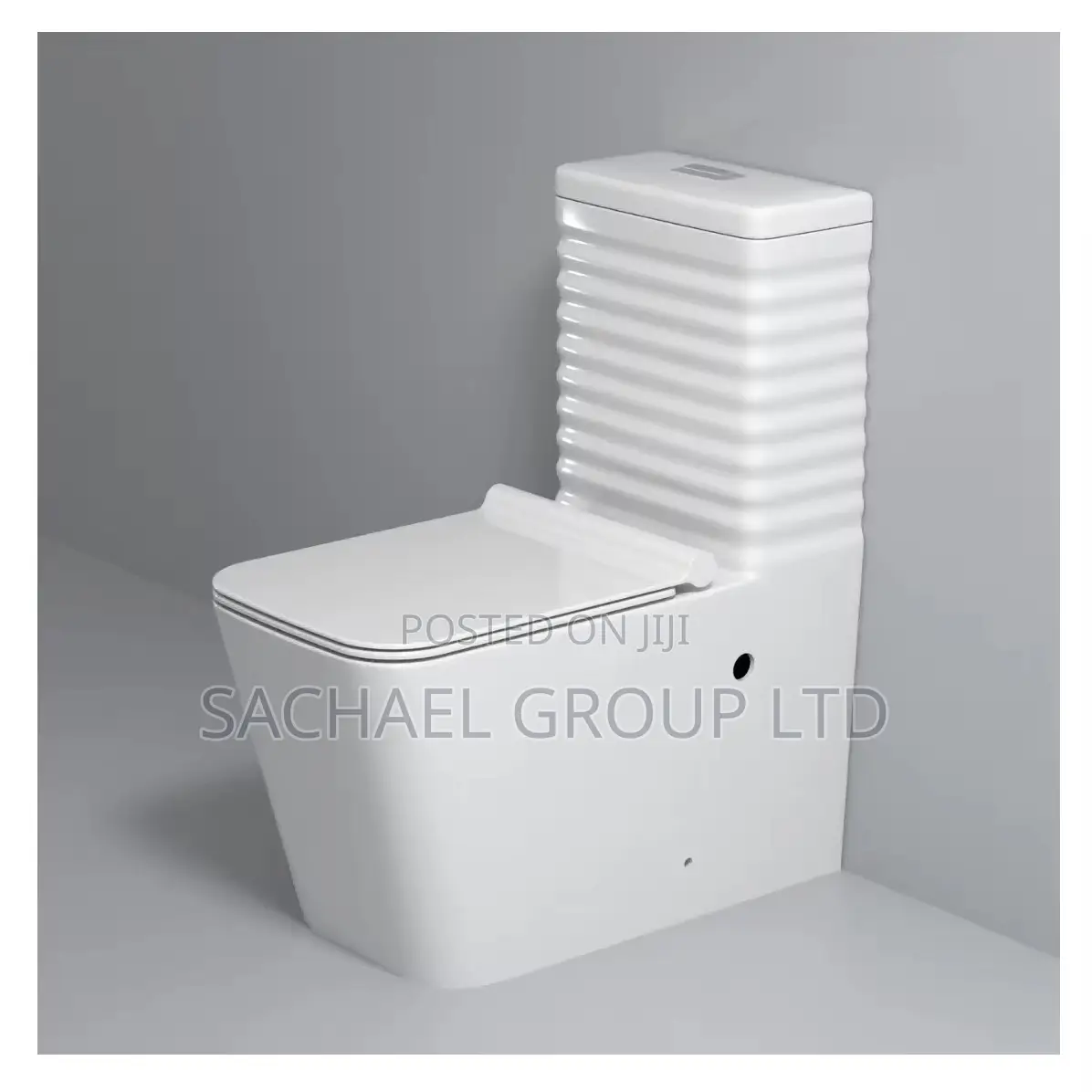 Hanging Basin Plus Wc
