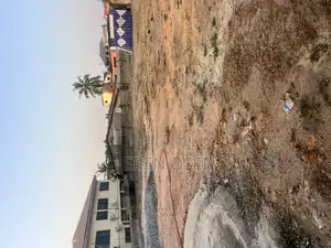 Freehold Property