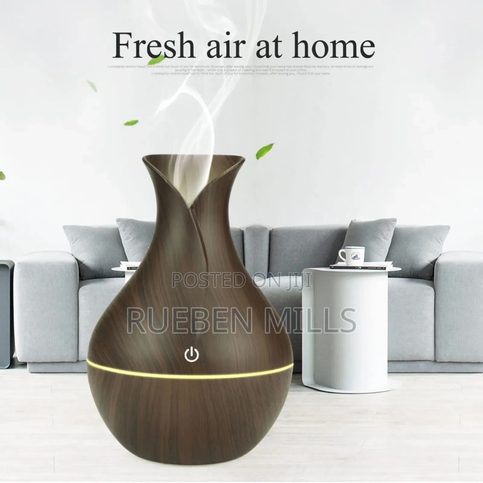 Eco-Friendly Mini Essential Oil Diffuser Humidifier