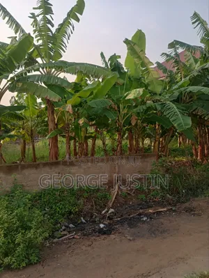 Plot of Land at Accra Tuba for Sale 100 by 70