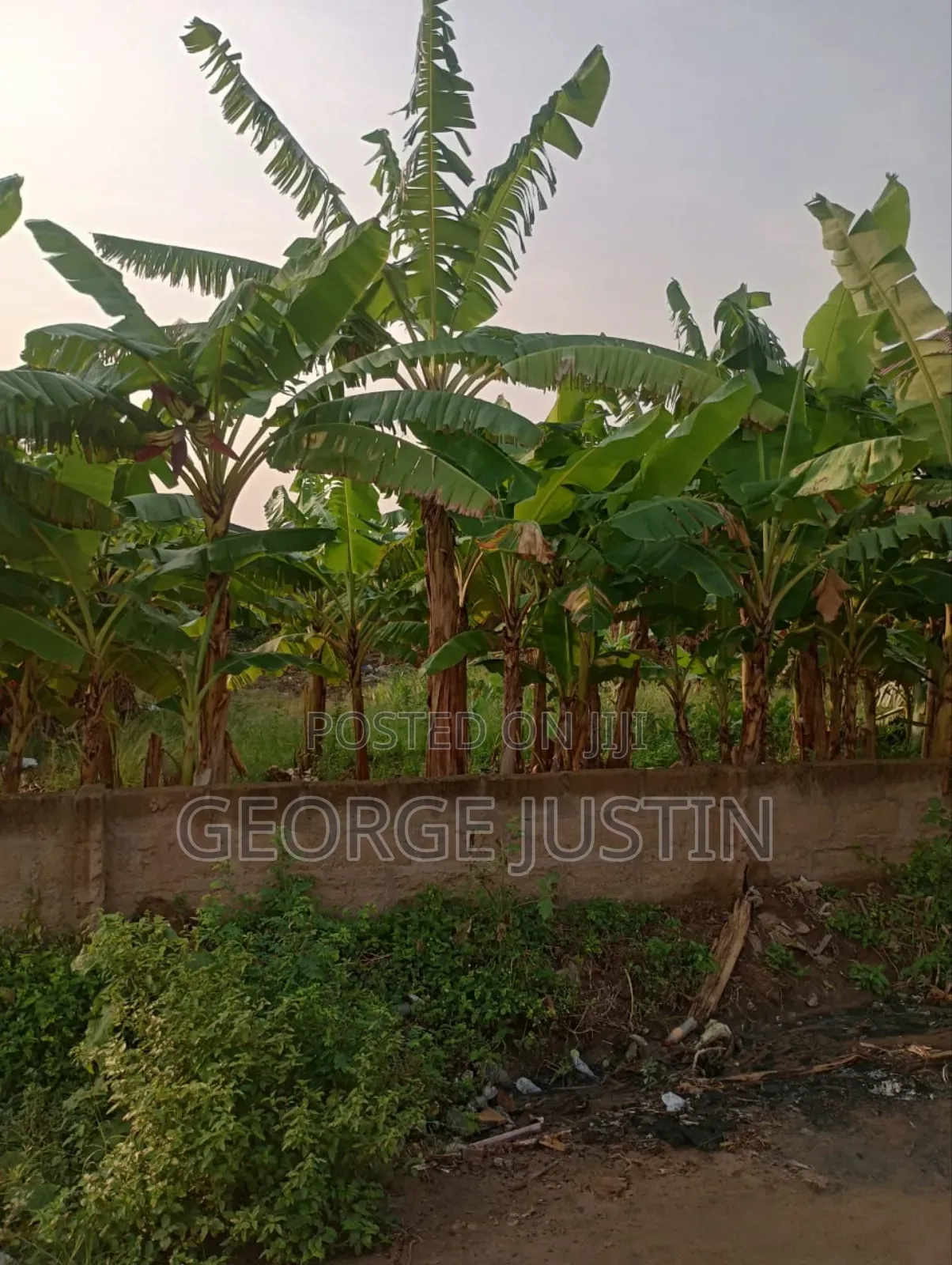 Plot of Land at Accra Tuba for Sale 100 by 70