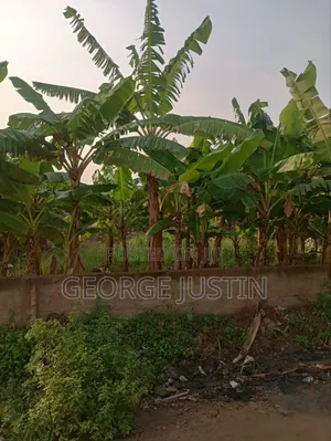 Plot of Land at Accra Tuba for Sale 100 by 70