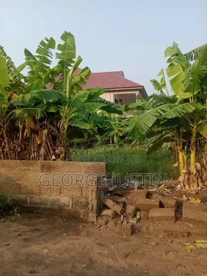 Plot of Land at Accra Tuba for Sale 100 by 70