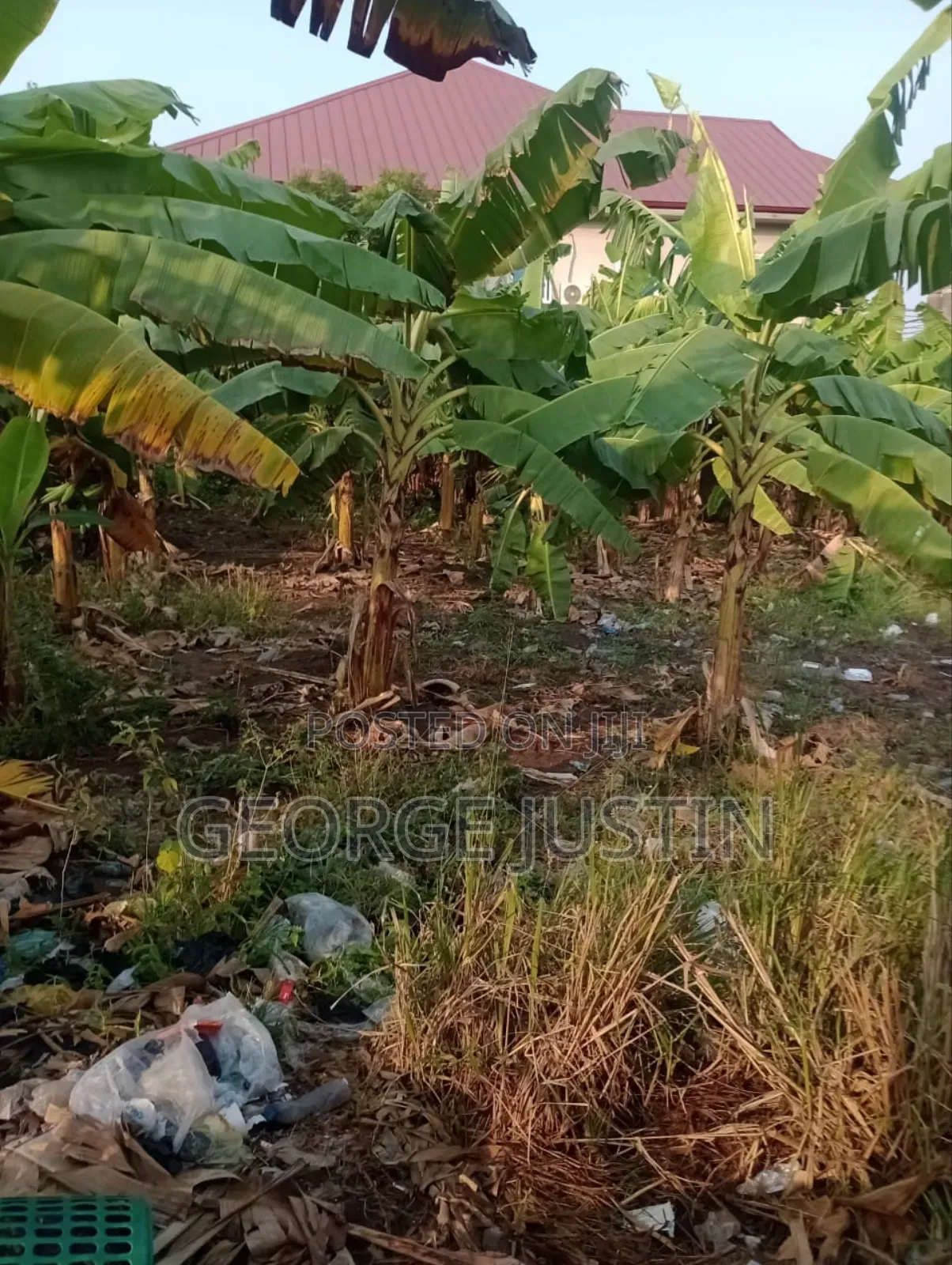 Plot of Land at Accra Tuba for Sale 100 by 70