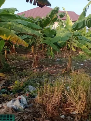 Plot of Land at Accra Tuba for Sale 100 by 70