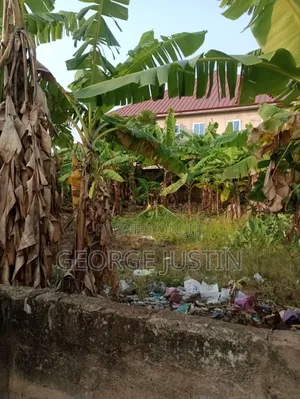 Plot of Land at Accra Tuba for Sale 100 by 70