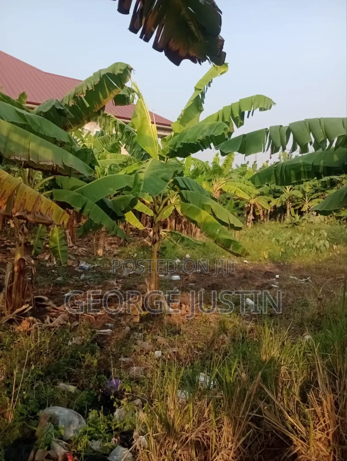 Plot of Land at Accra Tuba for Sale 100 by 70
