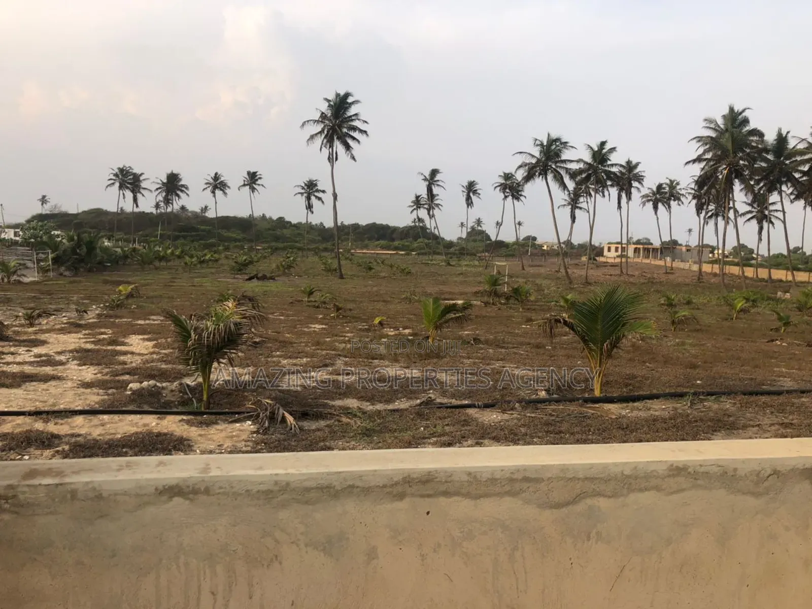 14 Plots of Beachfront Land for Sale at Prampram