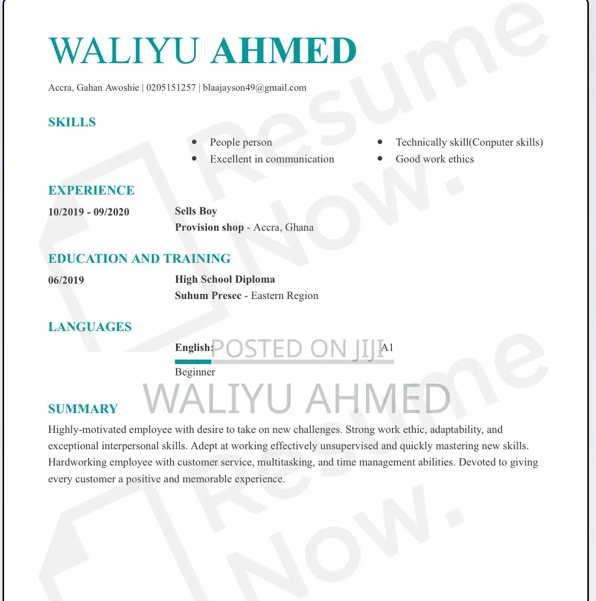 Computing IT CV