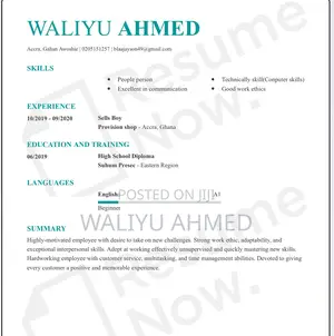 Computing IT CV
