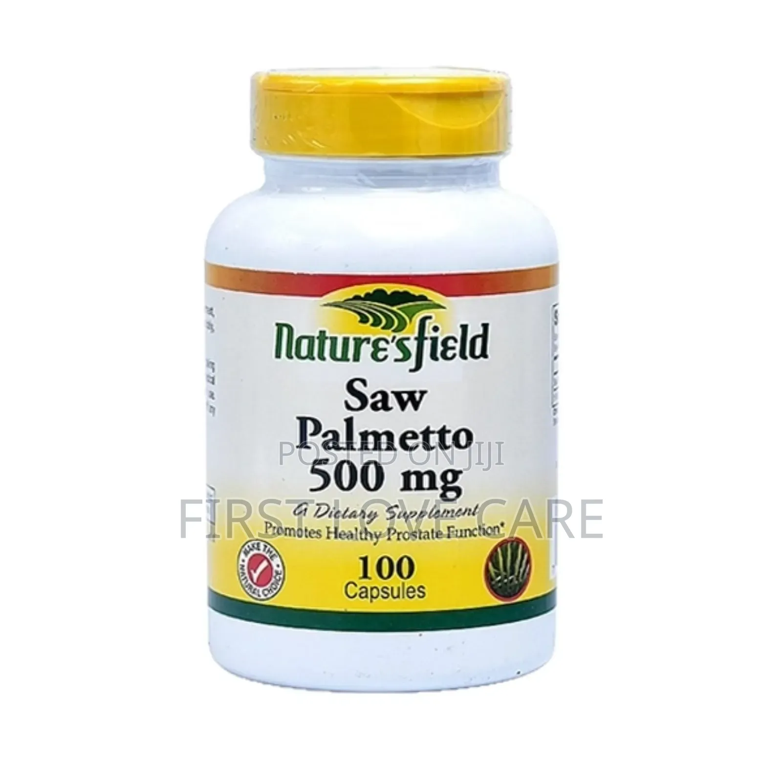Nature's Field Saw Palmetto 500mg