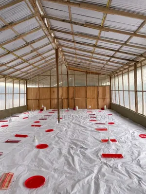 Poultry Coop Construction