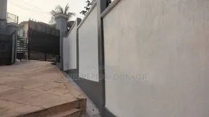Professional Painter