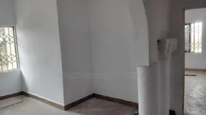 Professional Painter