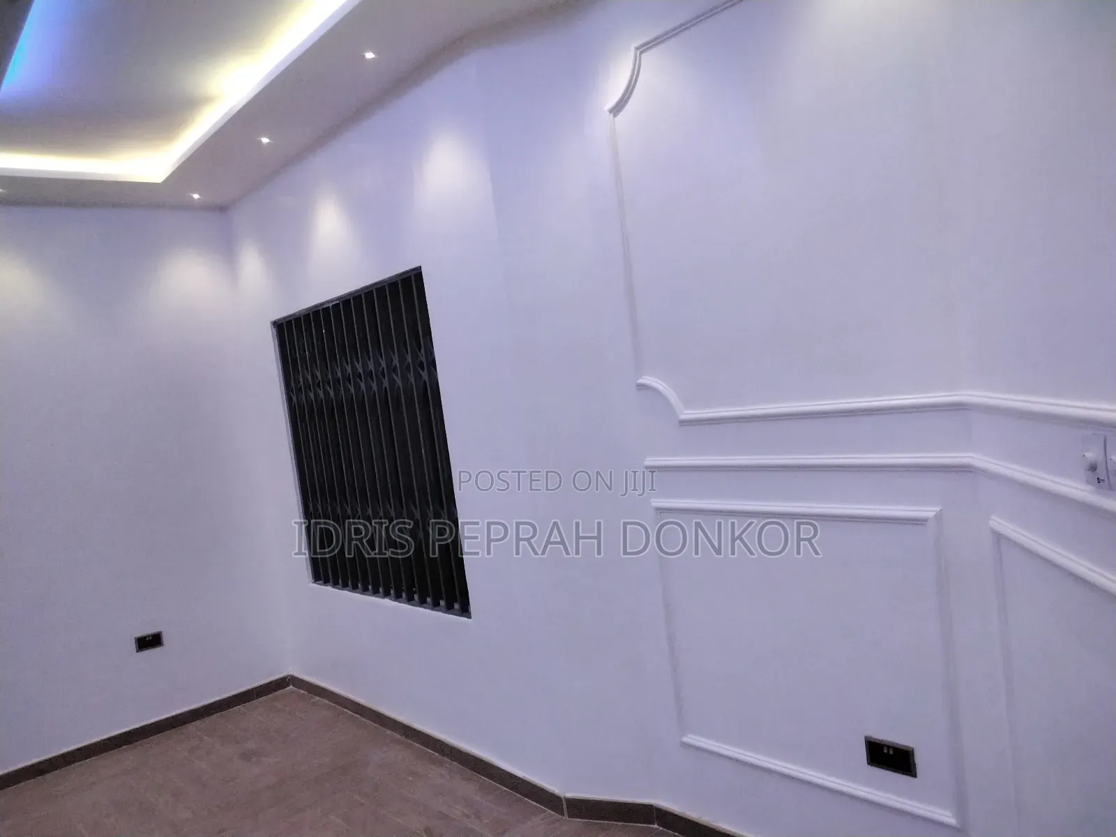 Professional Painter