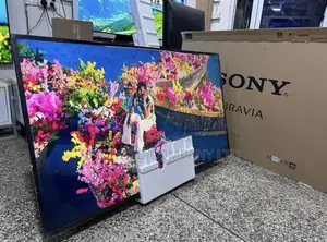 Clear And Incredibly Lifelike Sony 55 4K Android Smart Tv