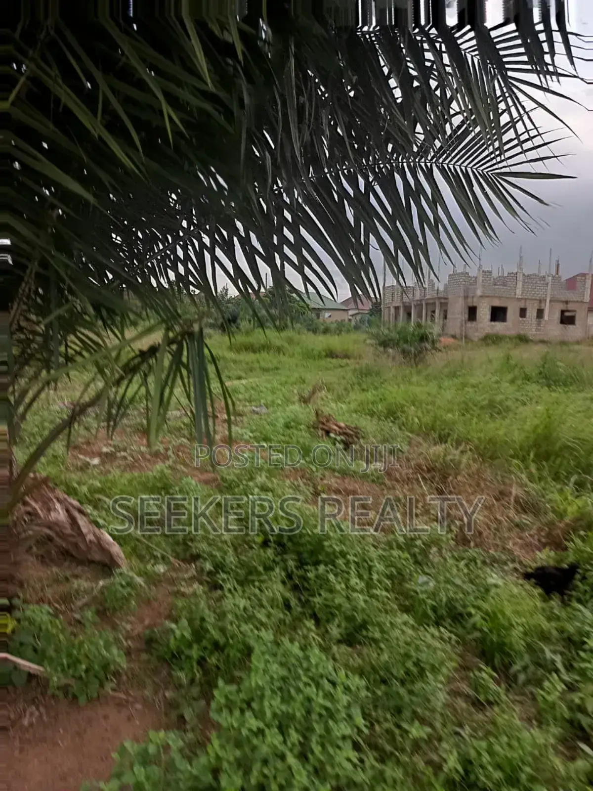 One Plot of Land D for Sale at Focus Hospital
