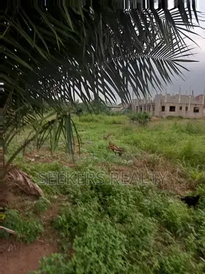 One Plot of Land D for Sale at Focus Hospital