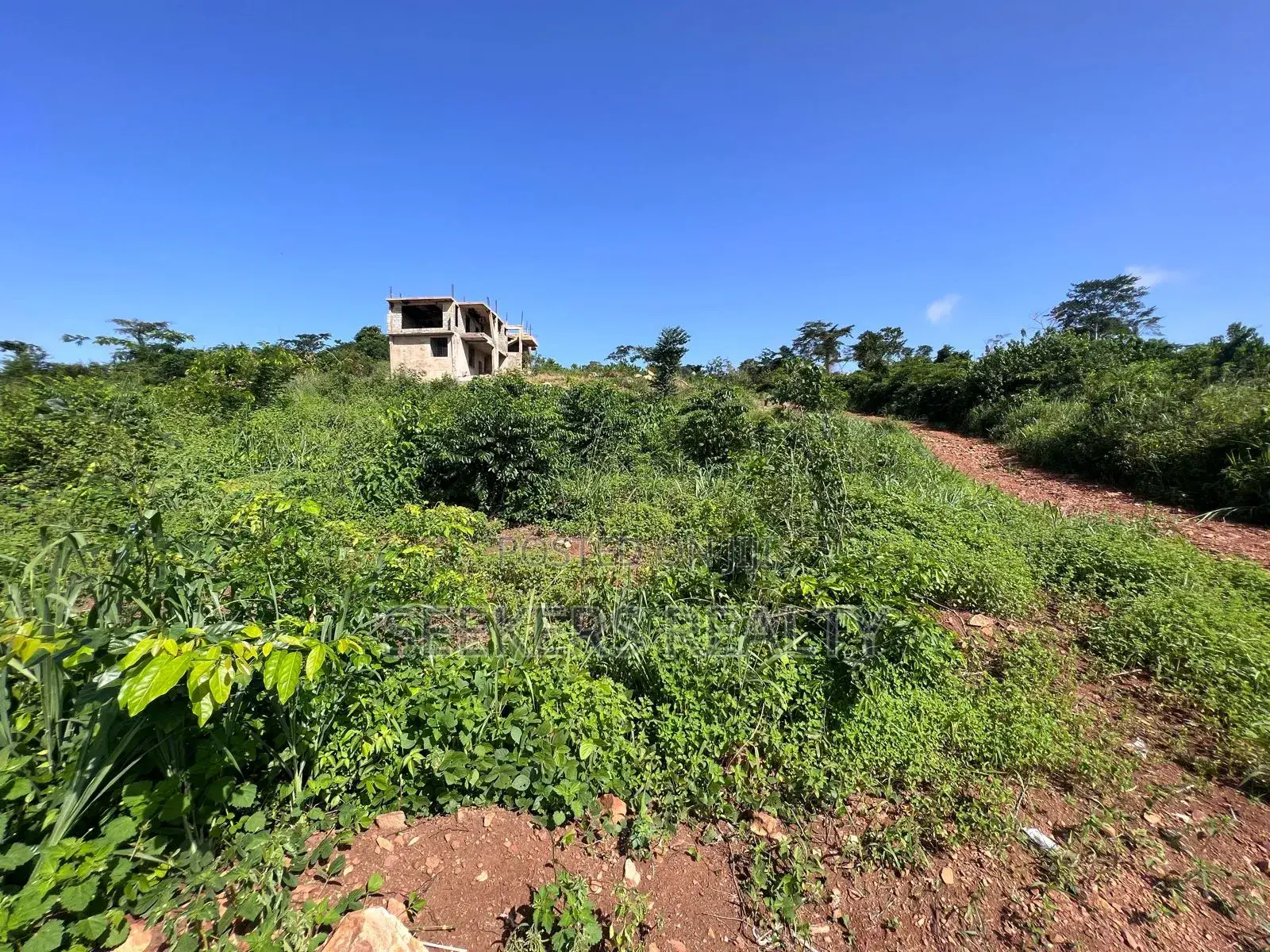 One Plot of Land D for Sale at Focus Hospital