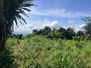 One Plot of Land D for Sale at Focus Hospital