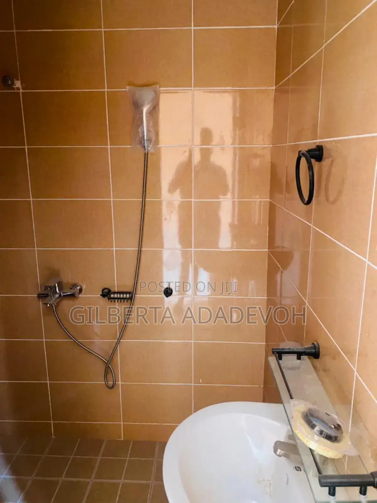 2bdrm Apartment in Borga Homes, Danfa for rent