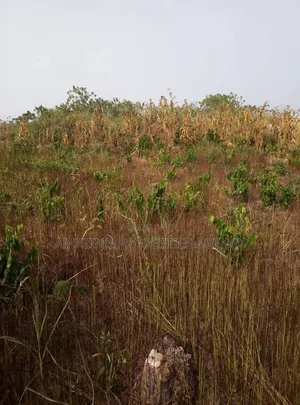 1.07 ACRES of Land for Sale at Ahodwo