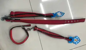 Dog Leash and Collar