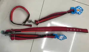 Dog Leash and Collar