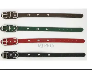 Leather Collar for Dogs