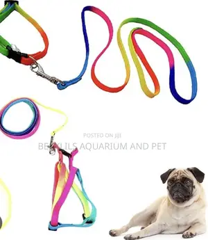 Multicolored Dog Collar With Leash