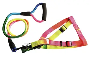 Rainbow Dog Leash With Harness