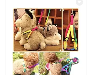 Rainbow Leash With Harness Available for Small Dogs