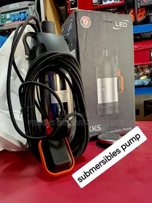 100% Stainless Steel Garden Submersible Pump 1.5hp Leo Pump