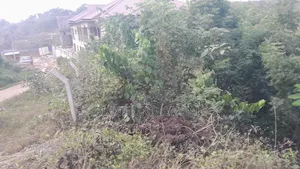 Plot for Sale at Essipon Stadium