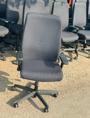 Executive Swivel/ Office Chair
