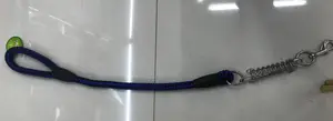Walk Leash