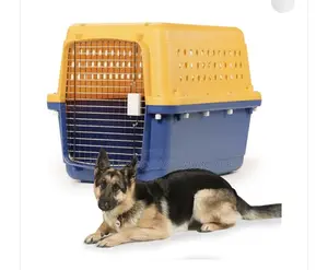 Large Portable Dog Create Available