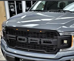 OEM 2021-2023 Ford F150 Grille