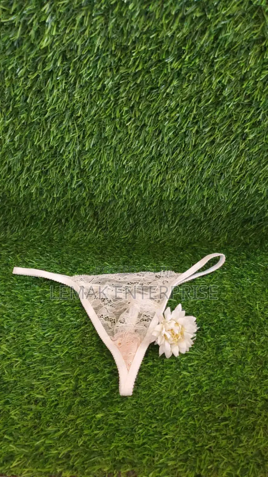 Ladies Panties