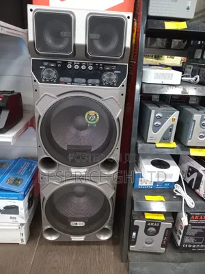 DZIRE Speaker - Quality Performance!