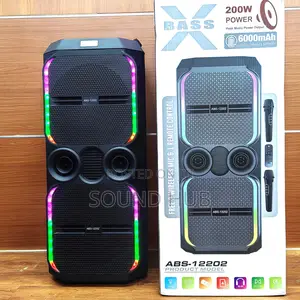 Dual 10 Inch Professional Stereo Subwoofer With Wireless Mic