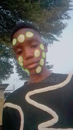 Customer Service CV