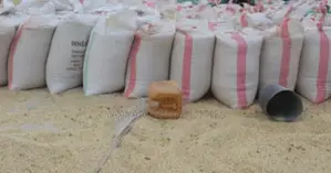White Maize, Yellow Maize