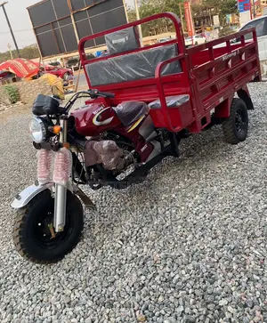 New Strong 1 2025 Red