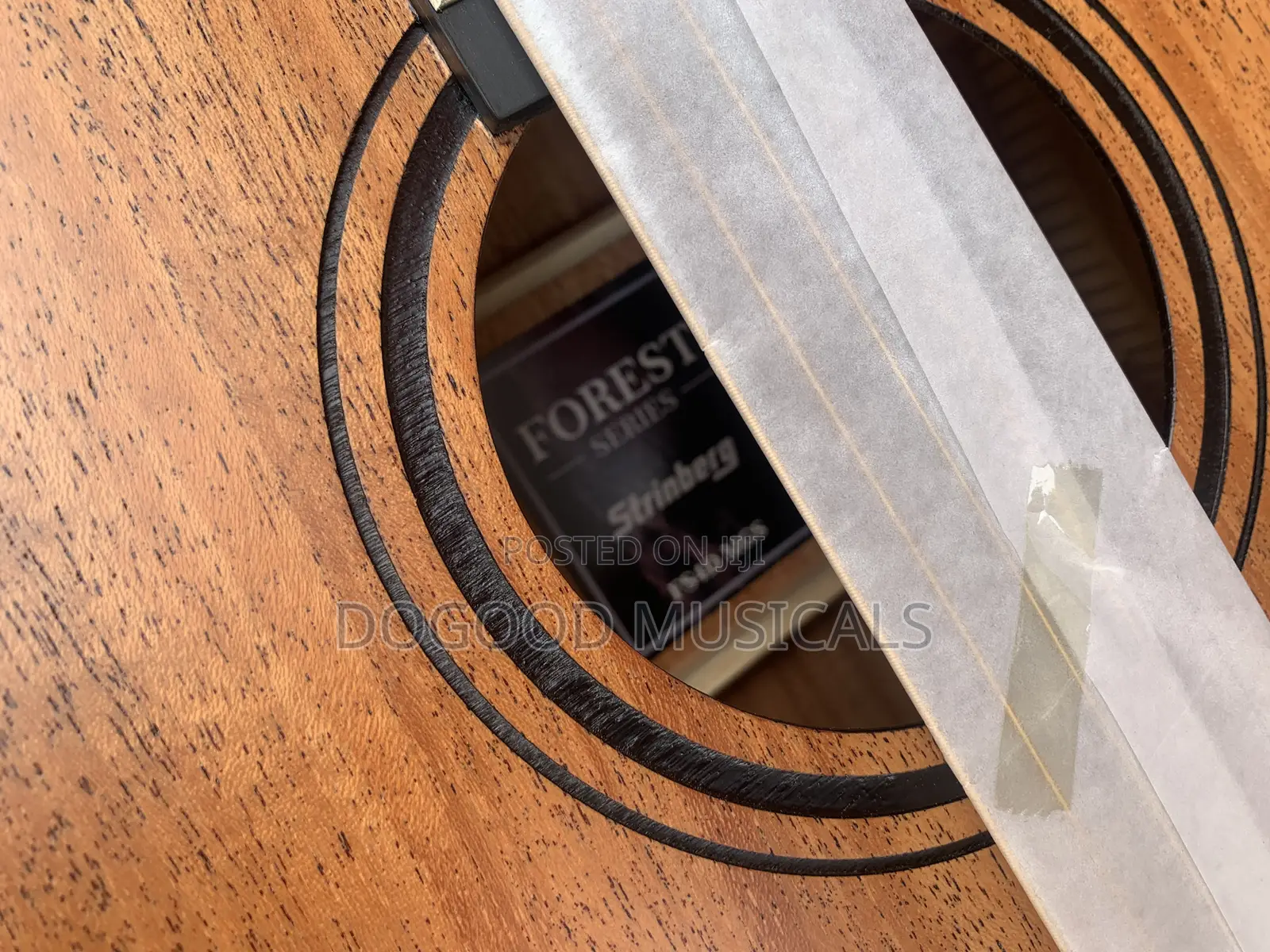Strinburg Forest Series Simi-Acoustic Guitar