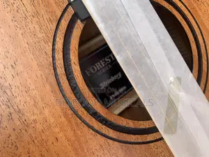 Strinburg Forest Series Simi-Acoustic Guitar