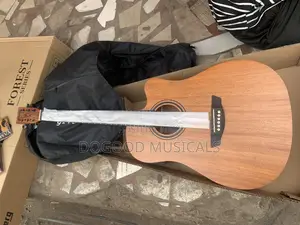 Strinburg Forest Series Simi-Acoustic Guitar