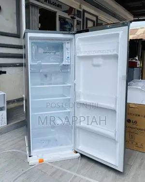 Stay Cool LG GN.B312PLGB 2 Door Electric Fridge(Silver).