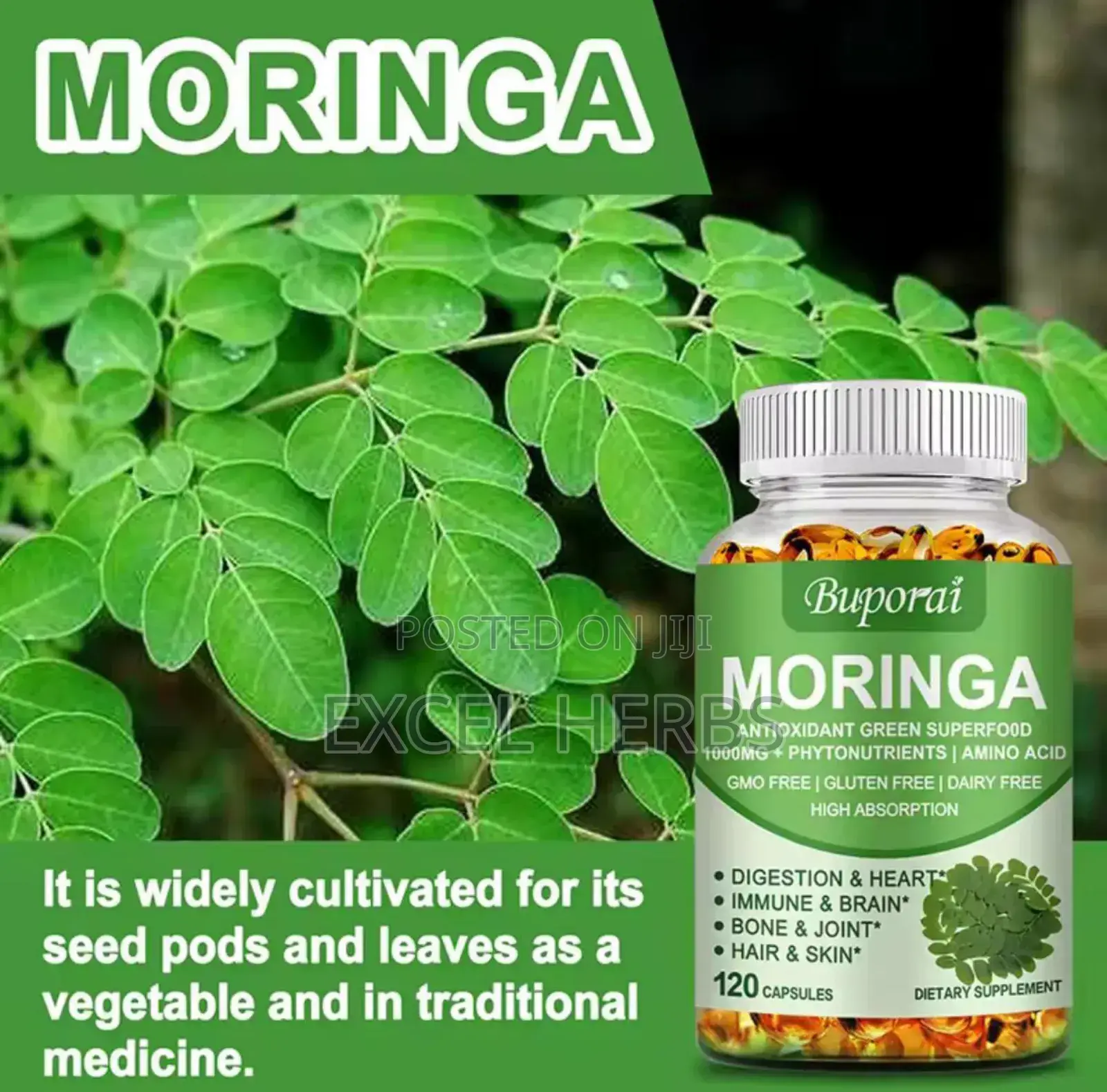 Moringa Capsules