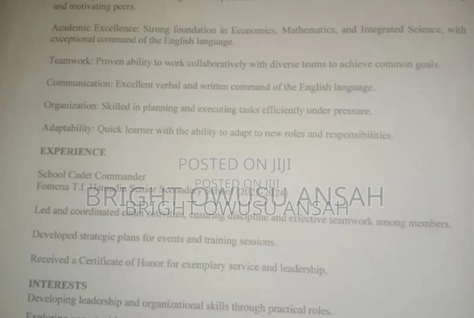 Curriculum Vitae (CV)